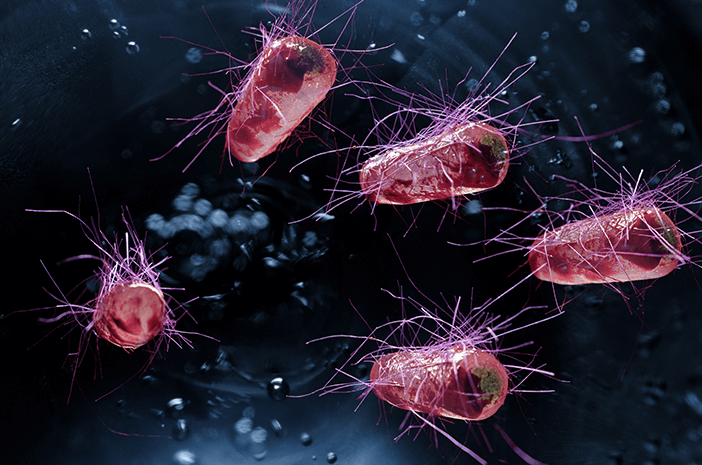 10 Bakteri Terbaik dan Bermanfaat Yang Ada Di Bumi